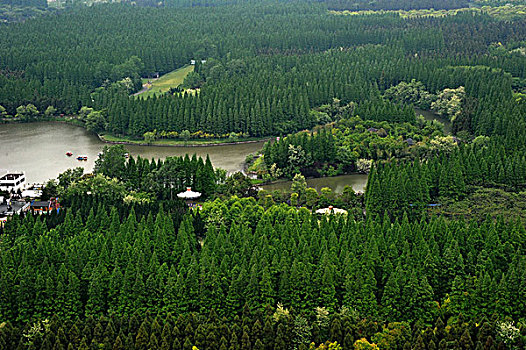 Strong earthquake near Osaka, Japan, kills 4, knocks over walls_MAY88