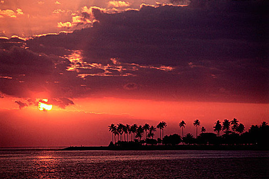 Texas Heat Wave Updates: Rainfall Could Cool Down Parts of the State