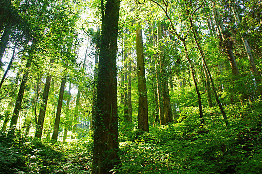 Workshop on ‘Mindful Healing’ at UCLA