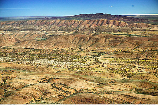 3 decomposed bodies found at remote Colorado campsite