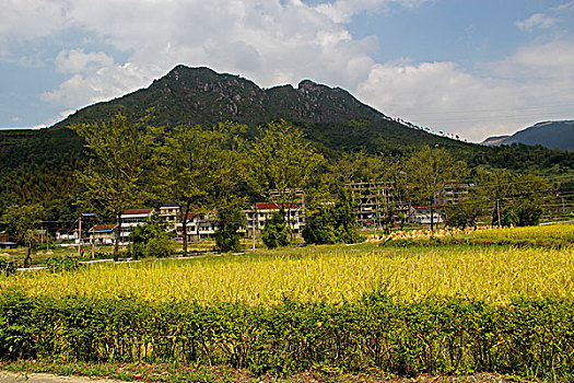 North Korea says forest fire broke out in Mount Kumgang area over weekend