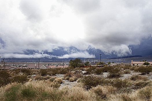 Coachella canceled over coronavirus concerns