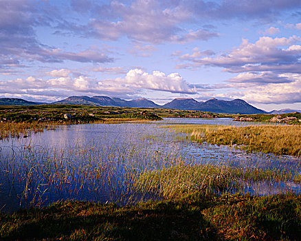 ‘Manzanar Fishing Club’ Event at Historic Site_12BET