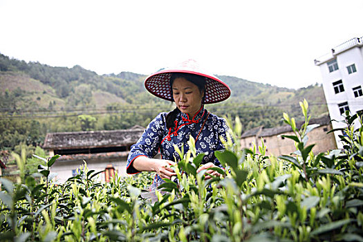 Lecture on ‘Japanese Tradition of Ema’ at Bowers Museum